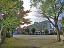高作公園(公園)まで20m Vasa Park　東千葉