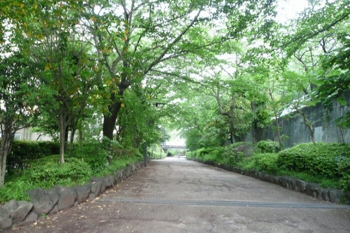 呑川緑道(公園)まで113m コルザ奥沢・２