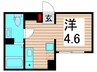 葛飾区亀有5丁目新築マンション 1Rの間取り