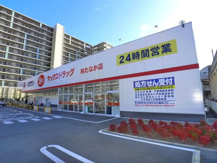 ヤックスドラッグ(ドラッグストア)まで750m ルミエール