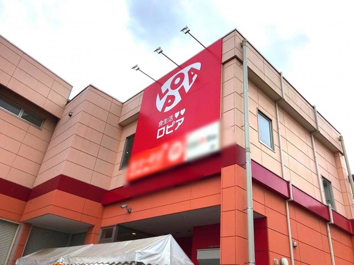 ロピア(スーパー)まで500m シルクハイツ