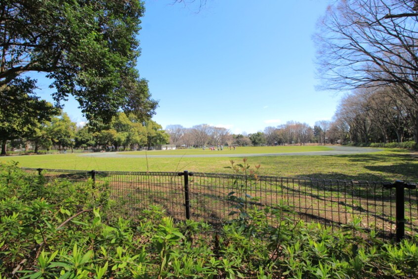 赤塚公園(公園)まで1200m ヴィラロ－リエ