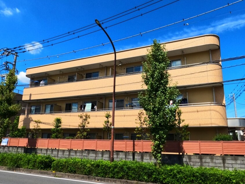 その他 エクセレントこはく