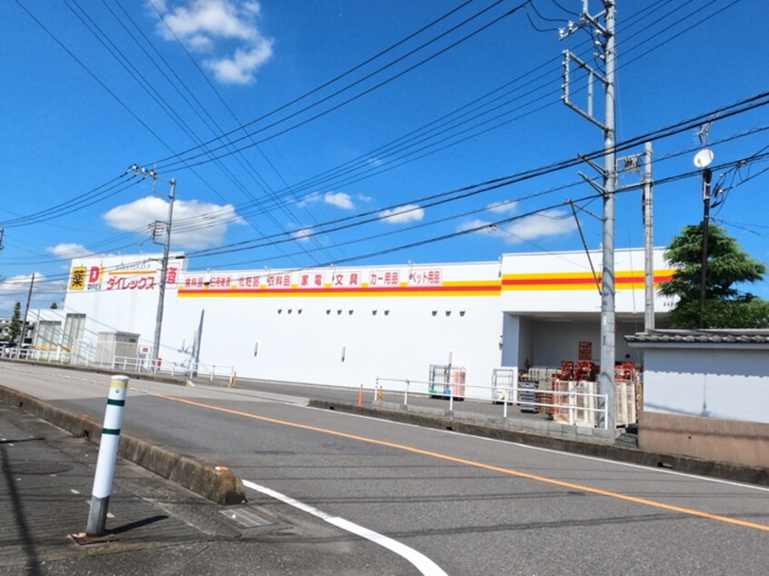 ダイレックス(ディスカウントショップ)まで260m エクセレントこはく