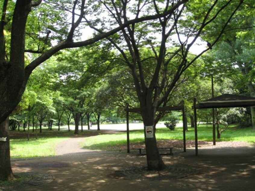 清澄公園(公園)まで1500m ウィルテラス森下四丁目