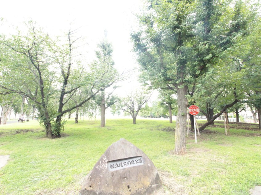 尾久の原公園(公園)まで320m ハマノビル