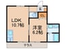 プルームガーデンⅢ 1LDKの間取り