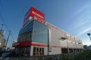 コジマ・ビックカメラ(電気量販店/ホームセンター)まで320m リブリ・クレ－ルカルチェ