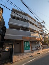 シェルティ二子