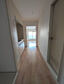 廊下 シェルティ二子