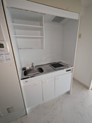 キッチン シェルティ二子