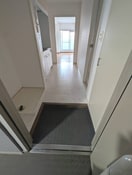 玄関 シェルティ二子