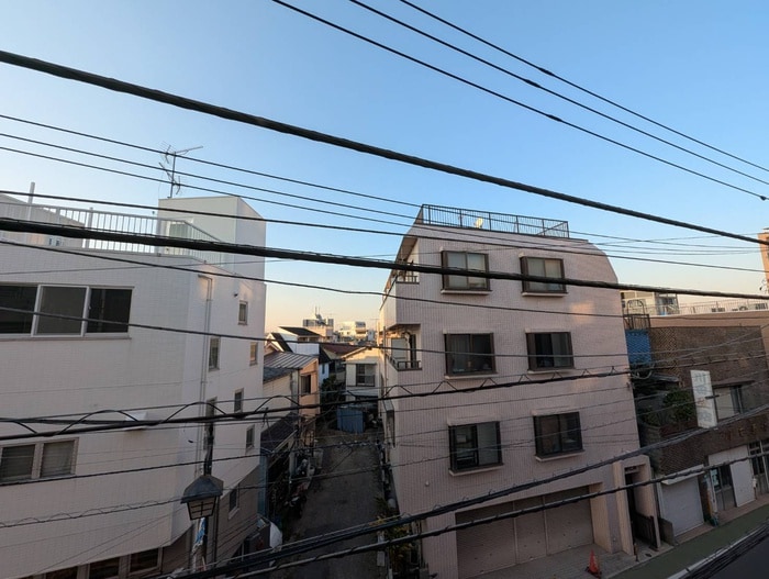 室内からの展望 シェルティ二子