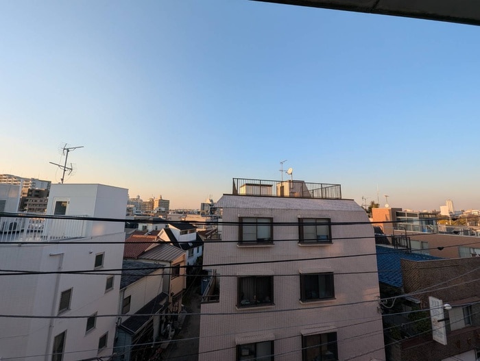 室内からの展望 シェルティ二子