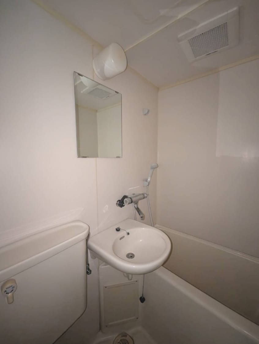 洗面 シェルティ二子