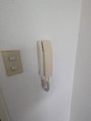 内観写真 シェルティ二子