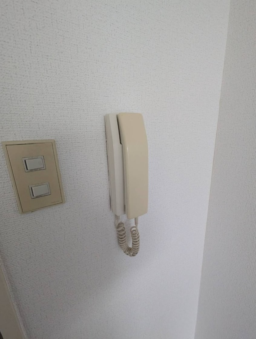 内観写真 シェルティ二子