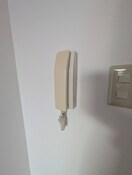 内観写真 シェルティ二子