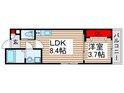 ウイルビィ新松戸の間取図