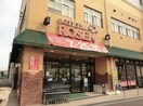 そうてつローゼン上星川店(スーパー)まで925m アネックスパパス