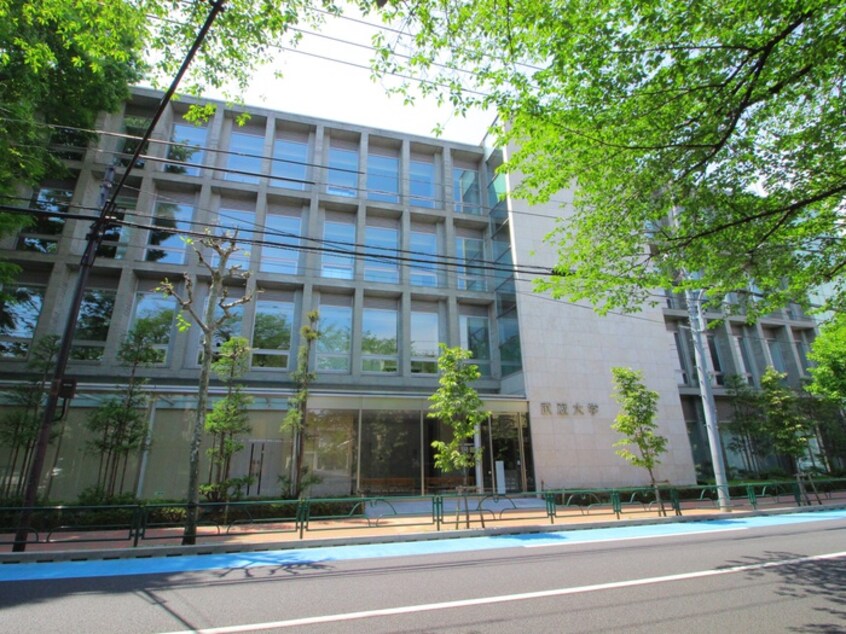 武蔵大学江古田キャンパス(大学/短大/専門学校)まで512m ハウスブル－ライト