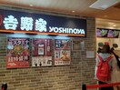 吉野家東急中央林間店(その他飲食（ファミレスなど）)まで334m グレイス林間