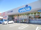 ウエルシア大和中央林間店(ドラッグストア)まで97m グレイス林間