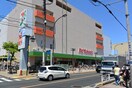 イトーヨーカドー東村山店(スーパー)まで730m サニ－スクエア