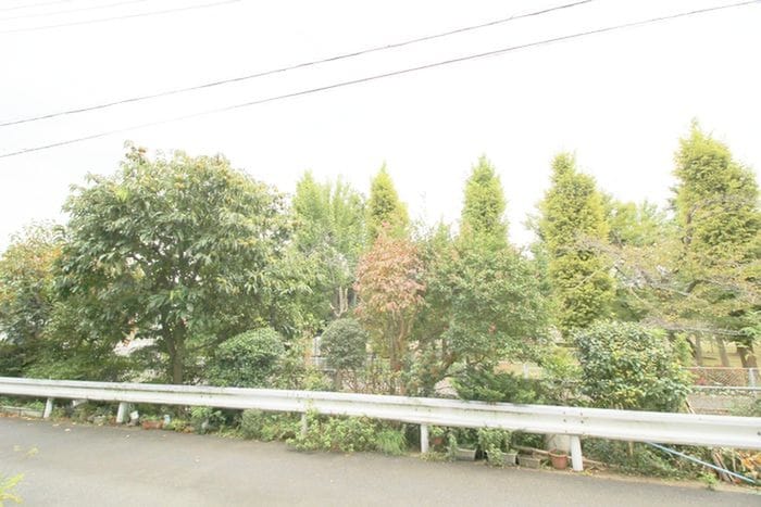 室内からの展望 ティアレ