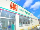セイムス(ドラッグストア)まで1260m ヒルサイド臼井