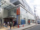 ＴＳＵＴＡＹＡ菊名駅東口店(ビデオ/DVD)まで634m 東籬苑