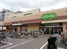 コープみらいコープ柴崎店(スーパー)まで432m エランドール藤橋