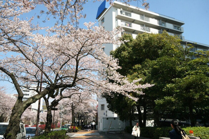 外観写真 東建小石川マンション(408)