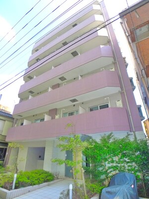 Amavel SUMIDA(402)
