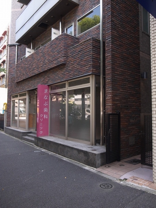 エントランス部分 グリーン江戸川橋