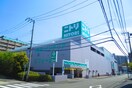 ニトリ 港北ニュータウン店(電気量販店/ホームセンター)まで637m むつみハイツ