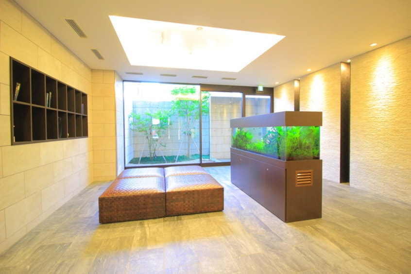 エントランス部分 ソライエアイル練馬北町