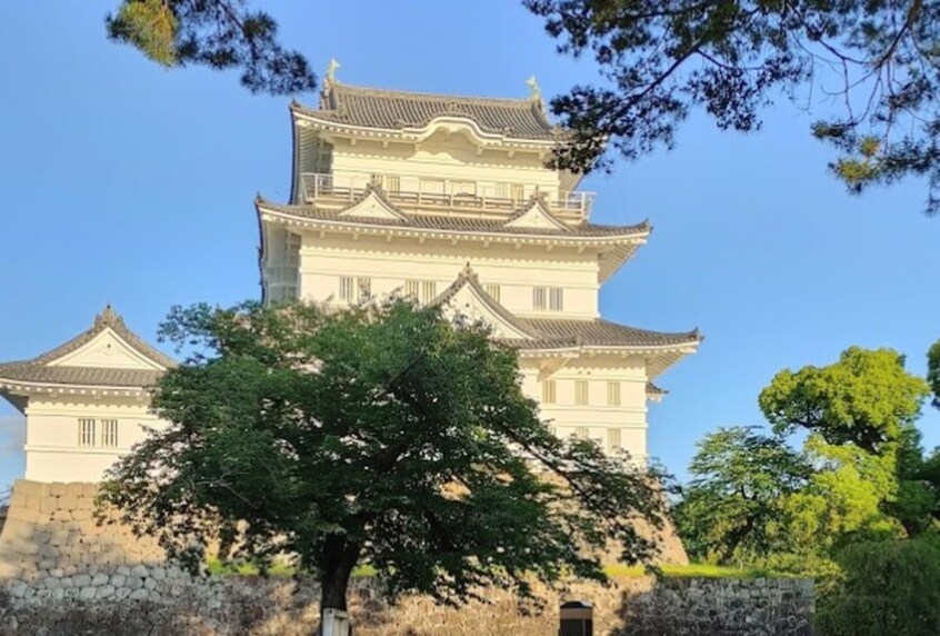 小田原城址公園(公園)まで938m 下田テラスハウス