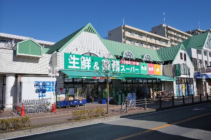 業務スーパー相模大野店(スーパー)まで673m 文京ハイム