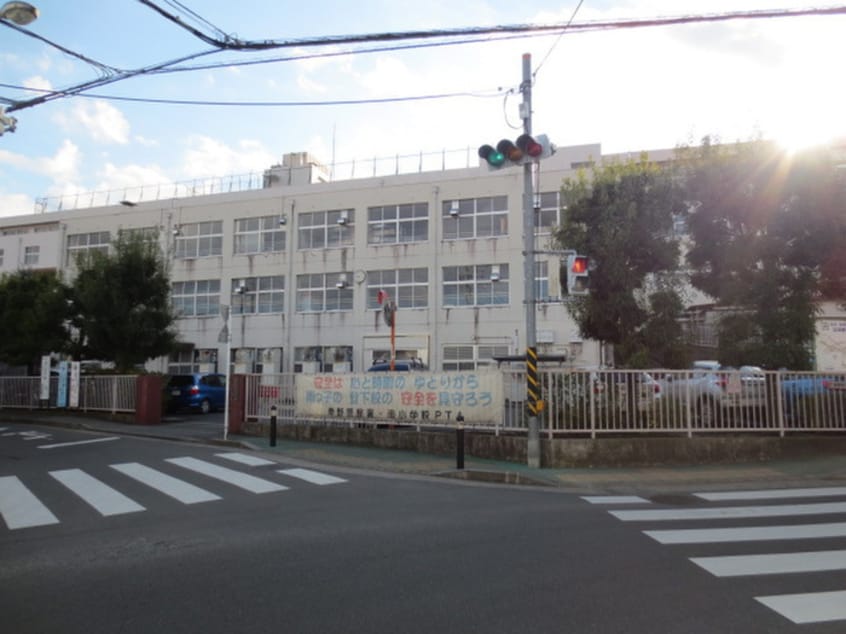 秦野市立南小学校(小学校)まで291m ミルフォード