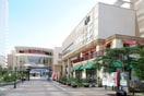 深川ギャザリア(ショッピングセンター/アウトレットモール)まで1300m グランフェリオ東陽町