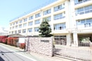 谷原中学校(中学校/中等教育学校)まで526m アトリオ石神井公園