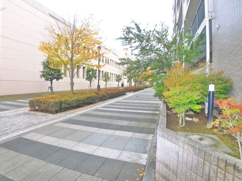 周辺環境 ミドルロ－ド壱番館