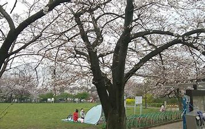 桜川公園(公園)まで850m オークレジデンス川崎