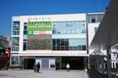 東急ストア西小山店(スーパー)まで339m ミヤコシコーポ
