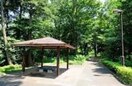 松葉公園(公園)まで463m コーポ石井