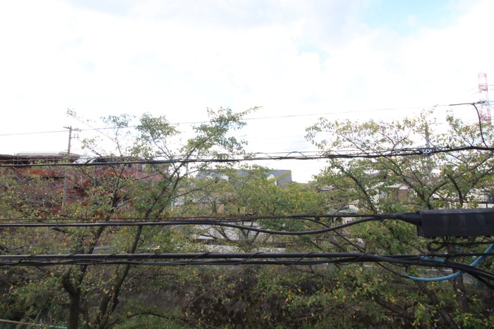 室内からの展望 ロイヤル・タカラⅠ