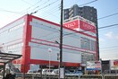 ザ・ダイソー一ツ家店(100均)まで550m ピアドール