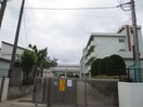 秦野市立本町小学校(小学校)まで175m 文京ハイツ