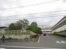 秦野市立本町中学校(中学校/中等教育学校)まで780m 文京ハイツ